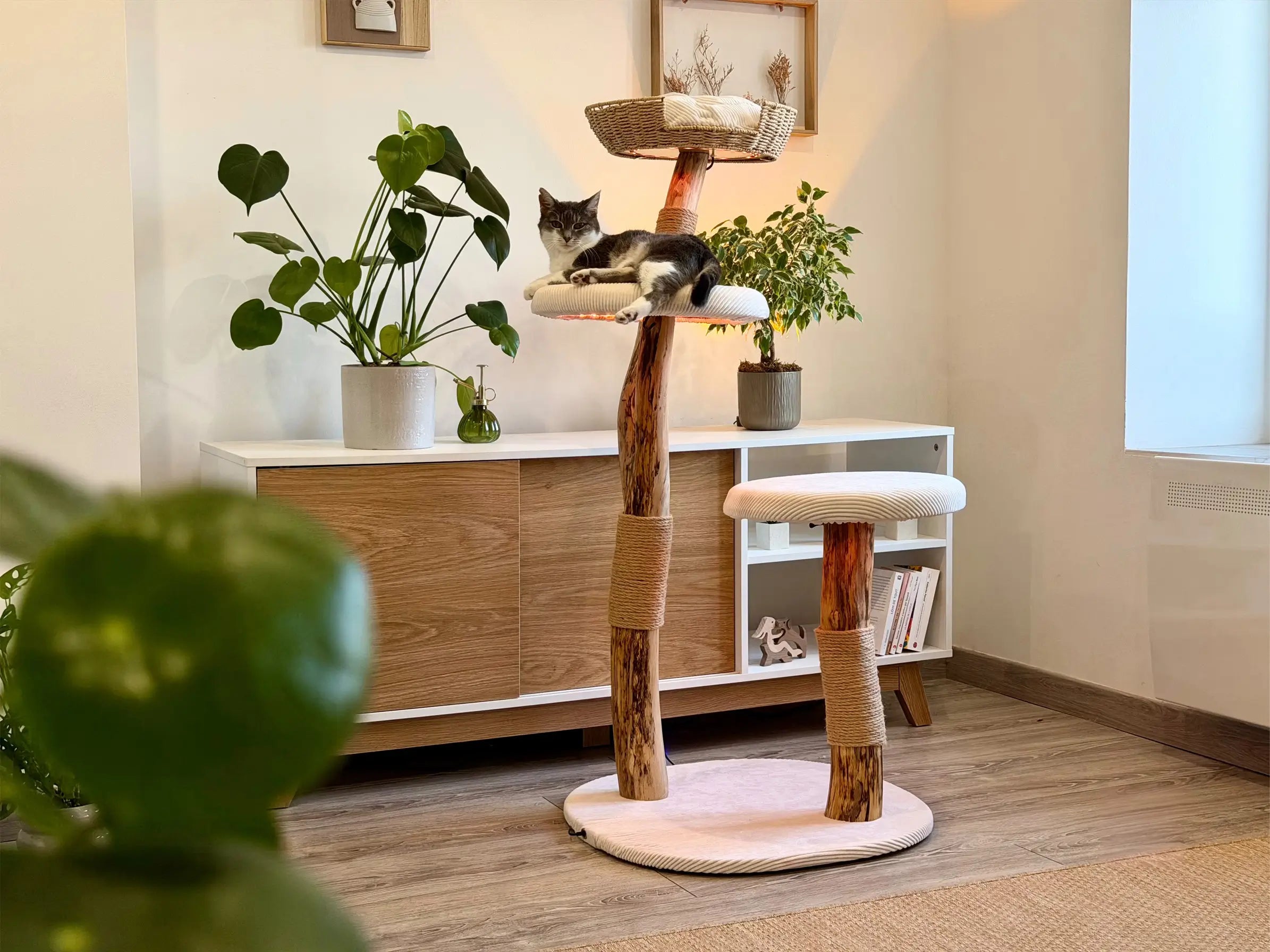Arbre à chat Maison Arborescence habillé de housses blanc crème dans un salon