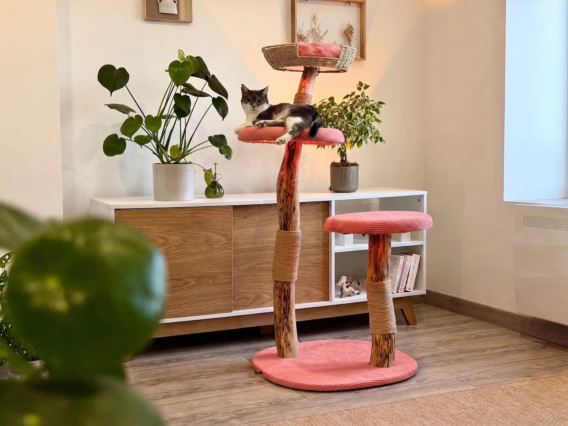Arbre à chat Maison Arborescence habillé de housses rose dans un salon