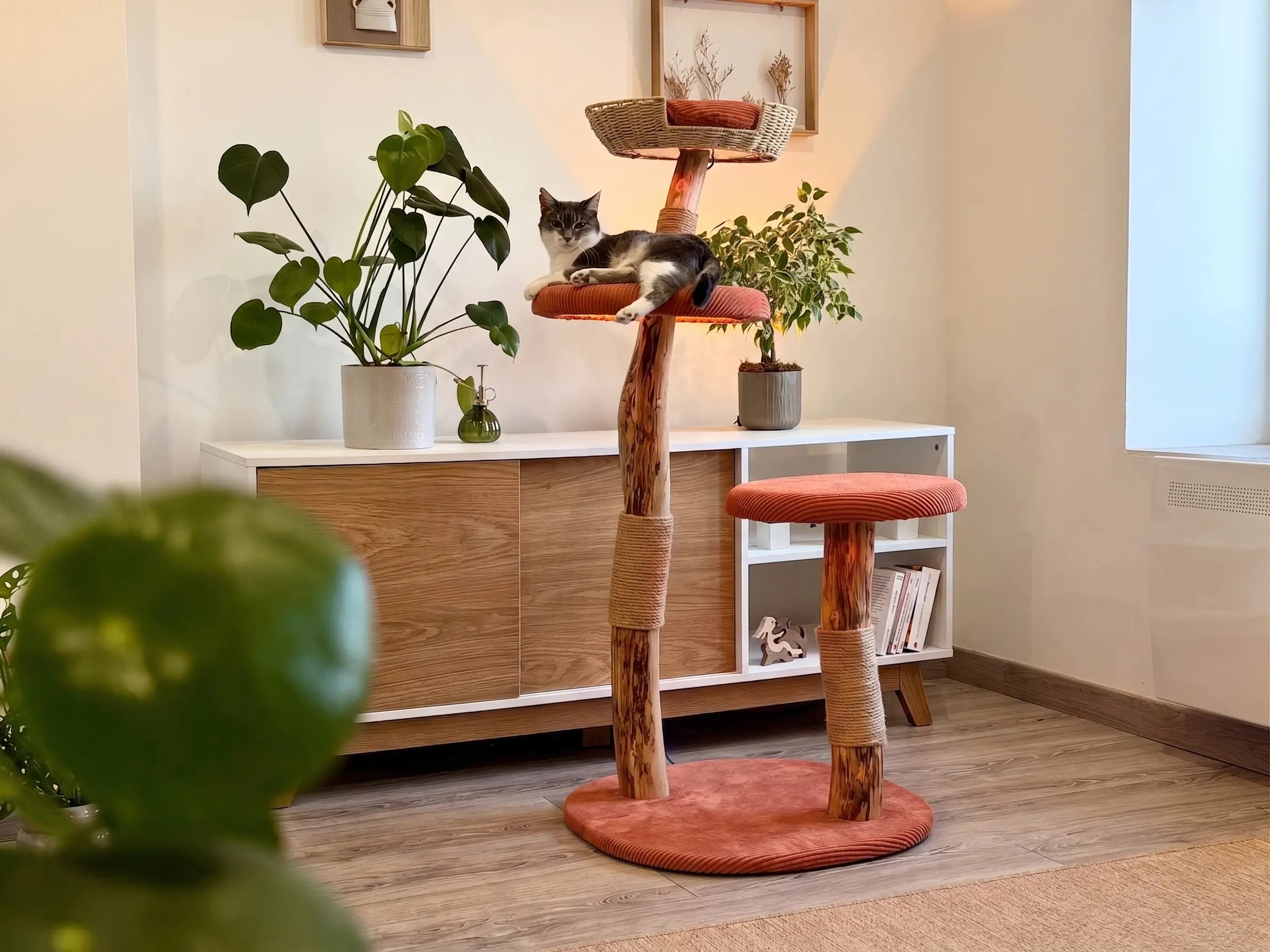 Arbre à chat Maison Arborescence habillé de housses terracotta dans un salon